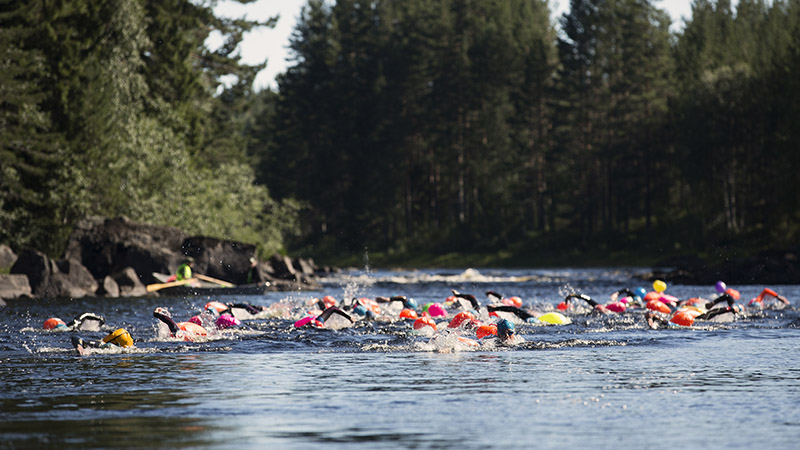 Simmare, Vansbrosimningen